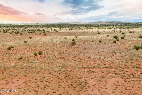 5176 Raven Rd, Snow Flake, AZ 85937 photo 14