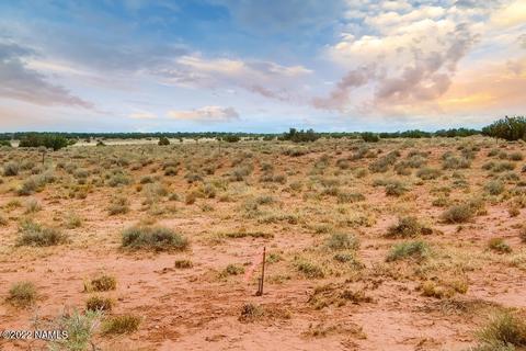 5176 Raven Rd, Snow Flake, AZ 85937 photo 3