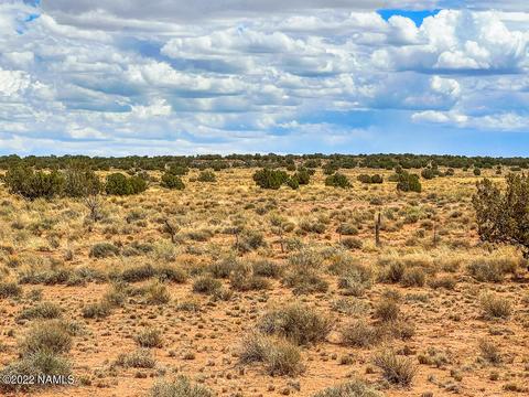 5176 Raven Rd, Snow Flake, AZ 85937 photo 5