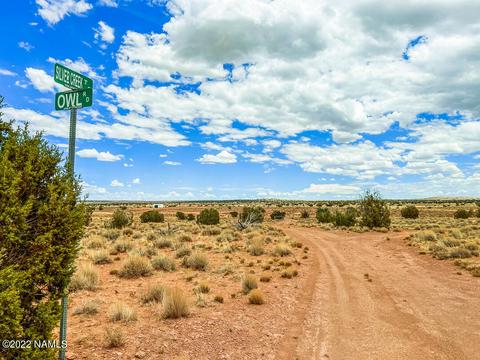 5176 Raven Rd, Snow Flake, AZ 85937 photo 13