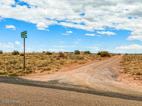 5176 Raven Rd, Snow Flake, AZ 85937 photo 10