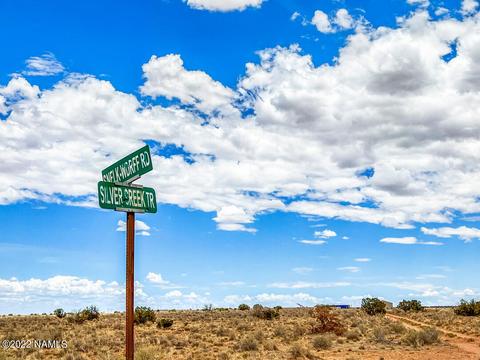 5176 Raven Rd, Snow Flake, AZ 85937 photo 11