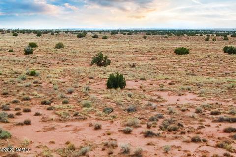 5176 Raven Rd, Snow Flake, AZ 85937 photo 21