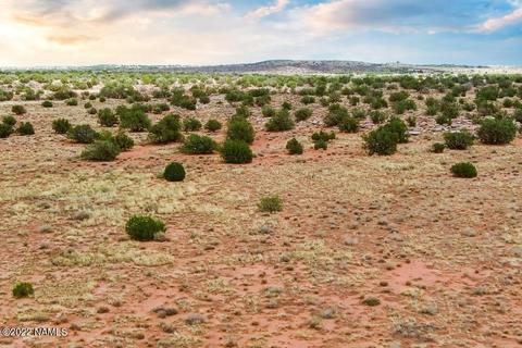 5176 Raven Rd, Snow Flake, AZ 85937 photo 7