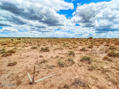 5176 Raven Rd, Snow Flake, AZ 85937 photo 2