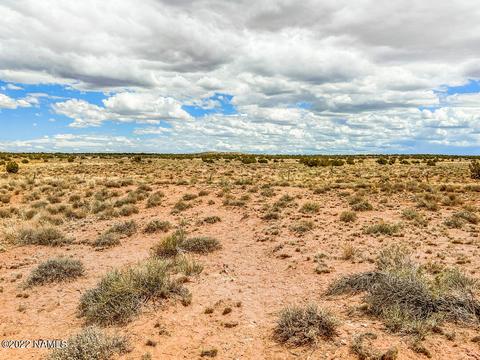 5176 Raven Rd, Snow Flake, AZ 85937 photo 4