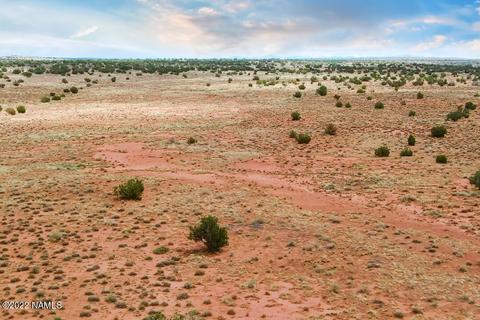 5176 Raven Rd, Snow Flake, AZ 85937 photo 19