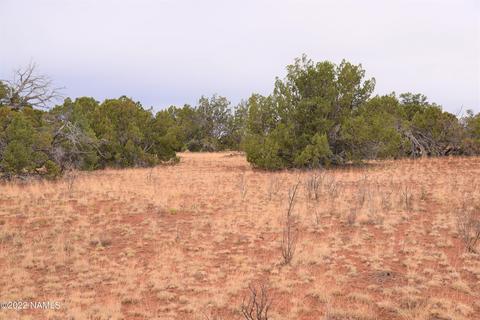 6198 Bird Dog Cir, Williams, AZ 86046 photo 7