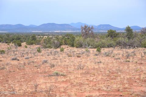 6198 Bird Dog Cir, Williams, AZ 86046 photo 2