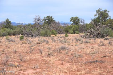 6198 Bird Dog Cir, Williams, AZ 86046 photo 8