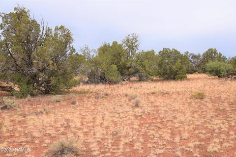 6198 Bird Dog Cir, Williams, AZ 86046 photo 3