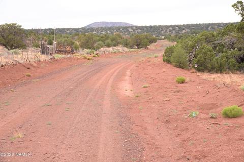 6198 Bird Dog Cir, Williams, AZ 86046 photo 11
