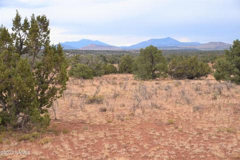 6198 Bird Dog Cir, Williams, AZ 86046 photo 1