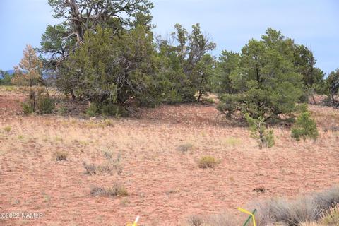 6198 Bird Dog Cir, Williams, AZ 86046 photo 9