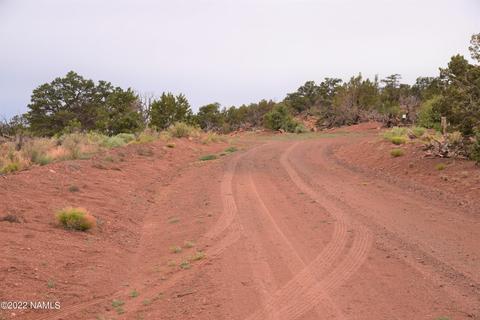 6198 Bird Dog Cir, Williams, AZ 86046 photo 10
