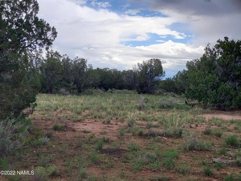 3358 E Lampe Ln, Williams, AZ 86046 photo 3