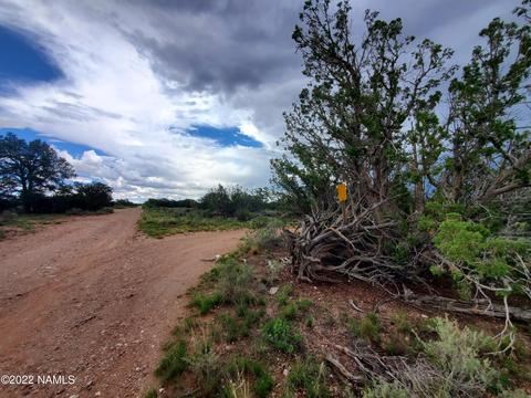 3358 E Lampe Ln, Williams, AZ 86046 photo 2