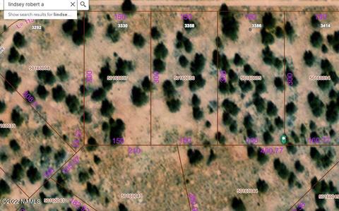 3358 E Lampe Ln, Williams, AZ 86046 photo 5