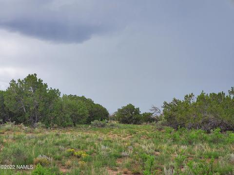 3358 E Lampe Ln, Williams, AZ 86046 photo 4