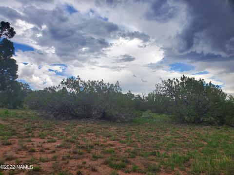 3330 E Lampe Ln, Williams, AZ 86046 photo 2