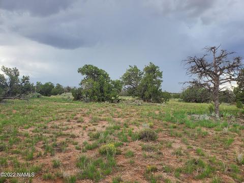 3386 E Lampe Ln, Williams, AZ 86046 photo 3