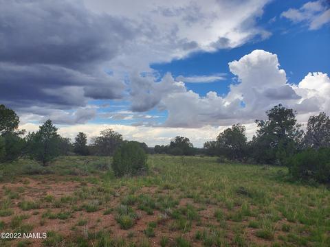 3386 E Lampe Ln, Williams, AZ 86046 photo 4