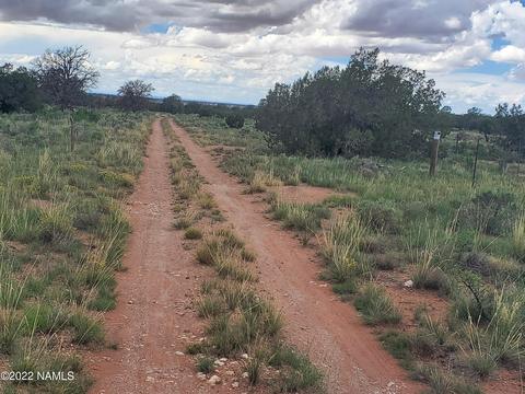 3386 E Lampe Ln, Williams, AZ 86046 photo 2