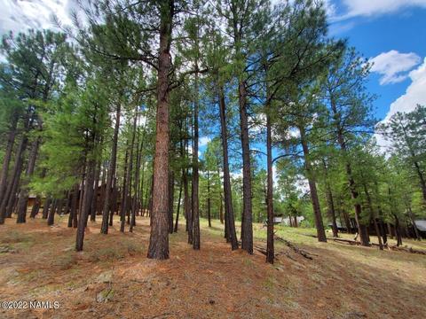 2128 Cecil Richardson, Flagstaff, AZ 86005 photo 5