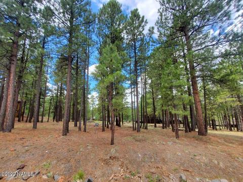 2128 Cecil Richardson, Flagstaff, AZ 86005 photo 2