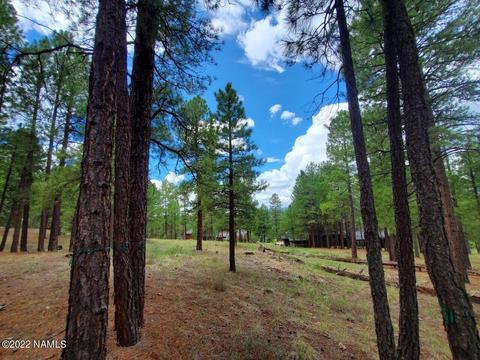 2128 Cecil Richardson, Flagstaff, AZ 86005 photo 3