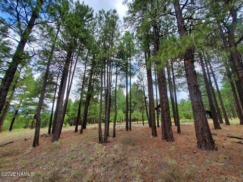 2128 Cecil Richardson, Flagstaff, AZ 86005 photo 4