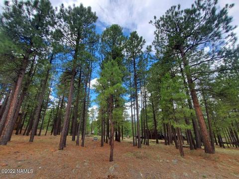 2128 Cecil Richardson, Flagstaff, AZ 86005 photo 1