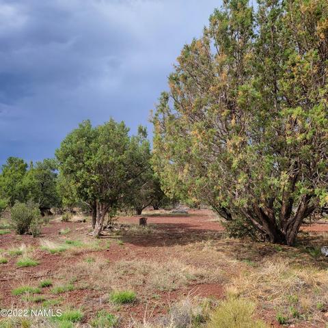 1309 W Wolf Ln, Williams, AZ 86046 photo 28