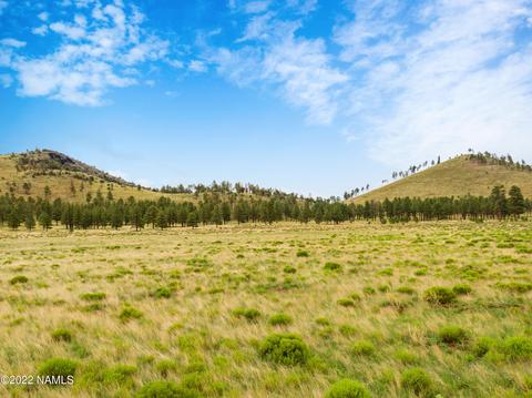 19 Fun Valley Rd, Flagstaff, AZ 86001 photo 21