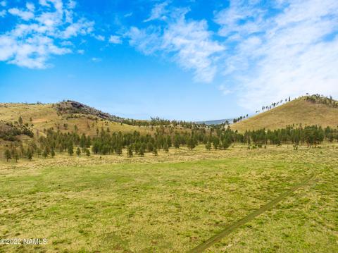 19 Fun Valley Rd, Flagstaff, AZ 86001 photo 7