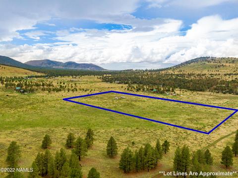 19 Fun Valley Rd, Flagstaff, AZ 86001 photo 5