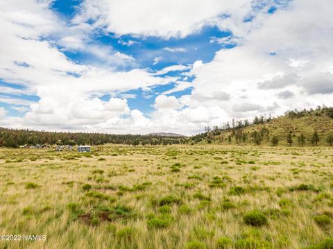19 Fun Valley Rd, Flagstaff, AZ 86001 photo 22