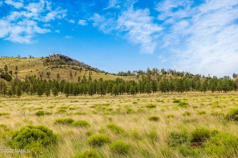19 Fun Valley Rd, Flagstaff, AZ 86001 photo 23