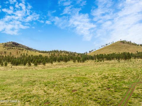 19 Fun Valley Rd, Flagstaff, AZ 86001 photo 19