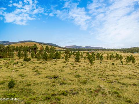 19 Fun Valley Rd, Flagstaff, AZ 86001 photo 6
