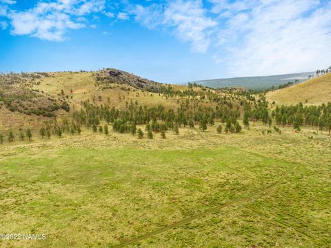 19 Fun Valley Rd, Flagstaff, AZ 86001 photo 16