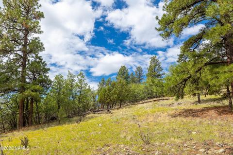 1027 E Hillcrest Dr, Flagstaff, AZ 86004 photo 77