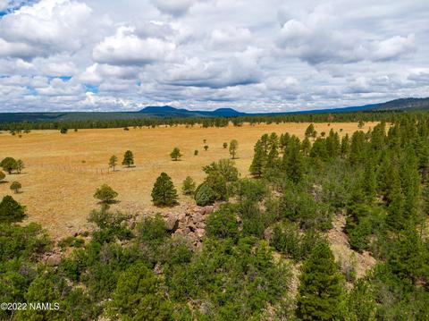 1027 E Hillcrest Dr, Flagstaff, AZ 86004 photo 70