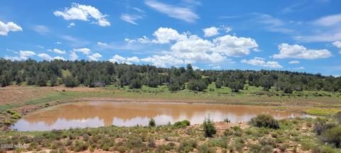 8298 W Red Bluff Rd, Williams, AZ 86046