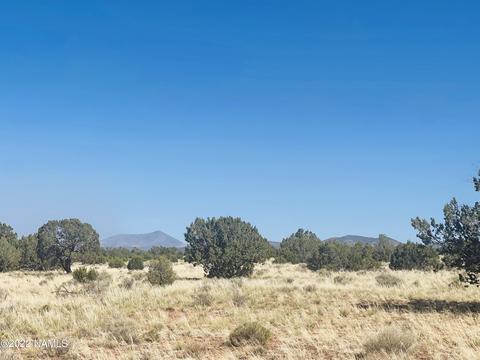 3628 E Valencia Rd #LOT 3, Williams, AZ 86046