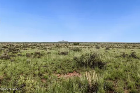 2233 E Valle Rd #117, Williams, AZ 86046 photo 8