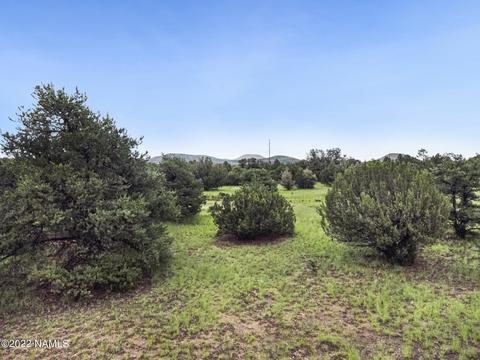 13769 Bly Station Rd A, Williams, AZ 86046
