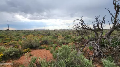 746 S San Mateo Rd #405, Williams, AZ 86046