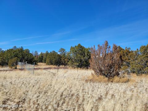 227 E Riverside Dr, Williams, AZ 86046 photo 2