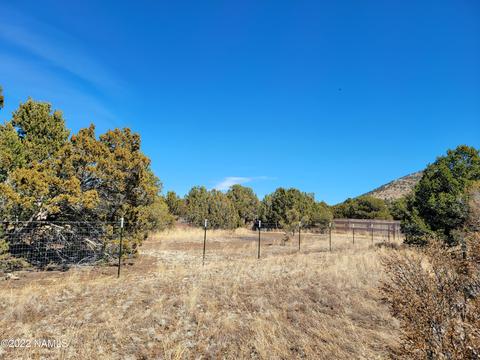 227 E Riverside Dr, Williams, AZ 86046 photo 4